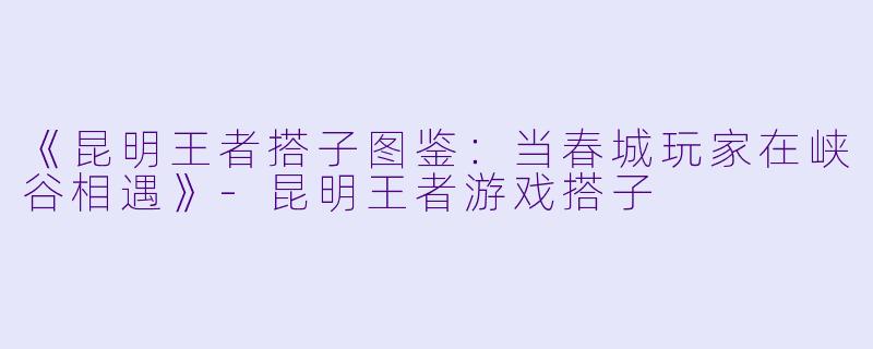 《昆明王者搭子图鉴：当春城玩家在峡谷相遇》-昆明王者游戏搭子