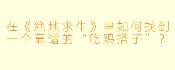 在《绝地求生》里如何找到一个靠谱的“吃鸡搭子”?