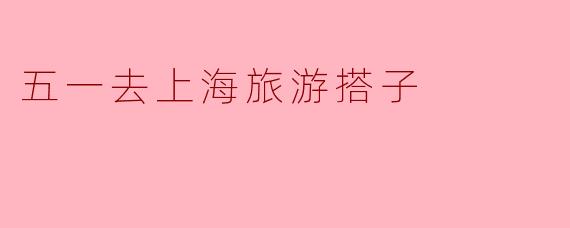 五一去上海旅游搭子