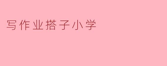 写作业搭子小学