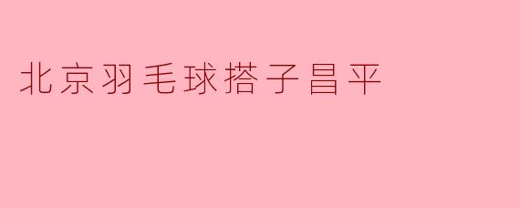 北京羽毛球搭子昌平