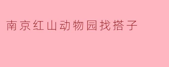 南京红山动物园找搭子