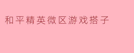 《和平精英微区游戏搭子:从“路人”到“战友”的快乐之旅》