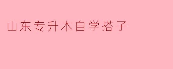 山东专升本自学搭子