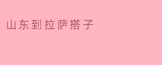 山东到拉萨搭子