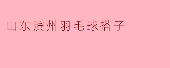 在山东滨州哪里可以找到一起打羽毛球的搭子?