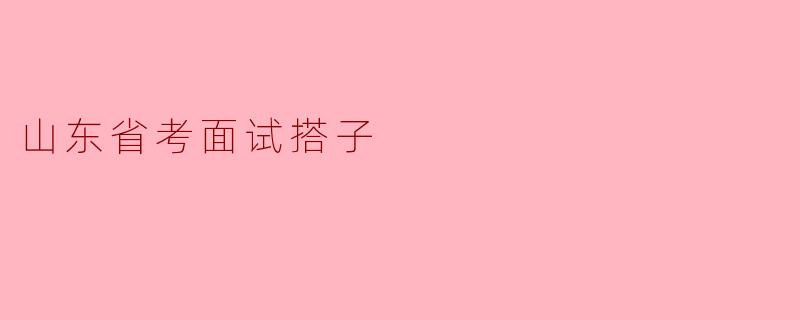 山东省考面试搭子