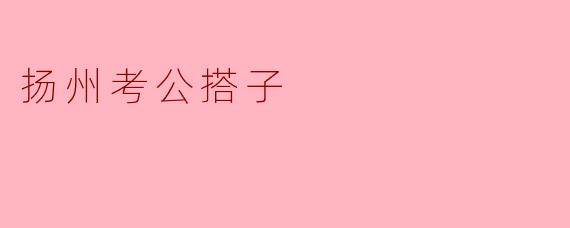 扬州考公搭子