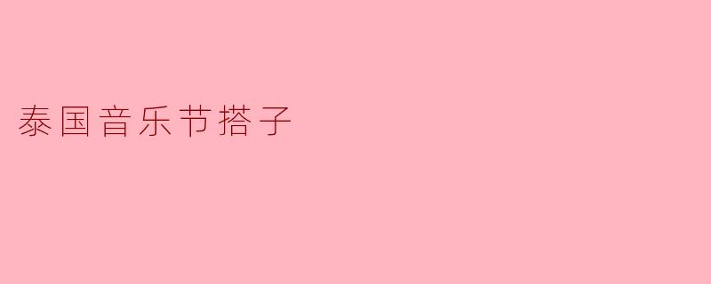 泰国音乐节搭子