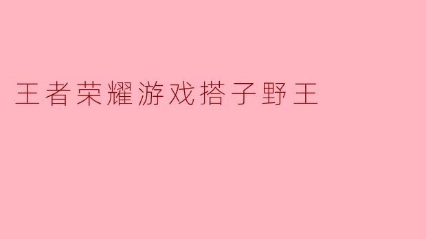 王者荣耀游戏搭子野王