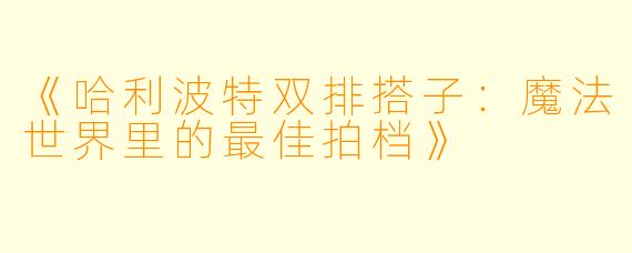 《哈利波特双排搭子：魔法世界里的最佳拍档》