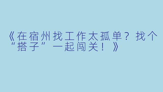 《在宿州找工作太孤单？找个“搭子”一起闯关！》