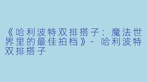 《哈利波特双排搭子：魔法世界里的最佳拍档》-哈利波特双排搭子