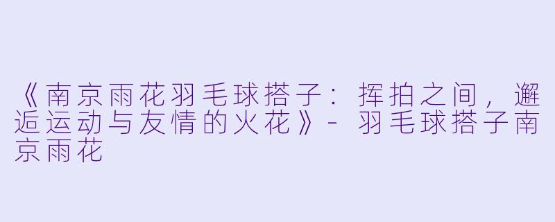 《南京雨花羽毛球搭子：挥拍之间，邂逅运动与友情的火花》-羽毛球搭子南京雨花