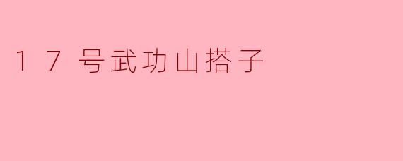 17号武功山搭子