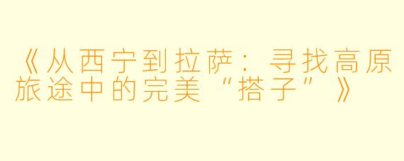 《从西宁到拉萨：寻找高原旅途中的完美“搭子”》