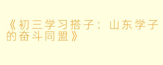 《初三学习搭子：山东学子的奋斗同盟》