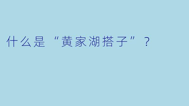 什么是“黄家湖搭子”？