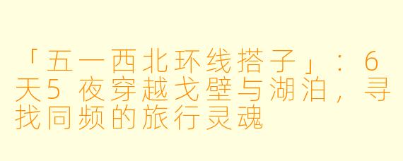 「五一西北环线搭子」：6天5夜穿越戈壁与湖泊，寻找同频的旅行灵魂