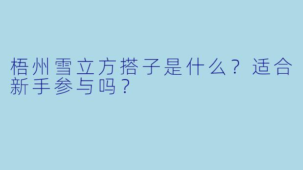梧州雪立方搭子是什么？适合新手参与吗？