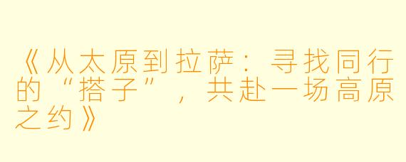 《从太原到拉萨：寻找同行的“搭子”，共赴一场高原之约》