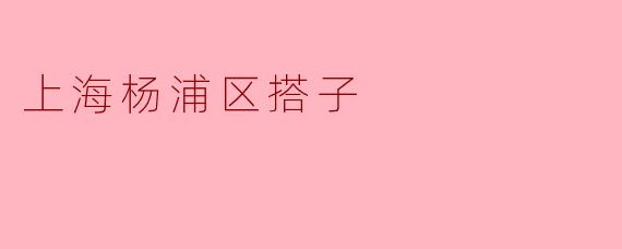 上海杨浦区搭子