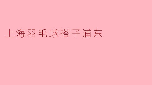 上海羽毛球搭子浦东