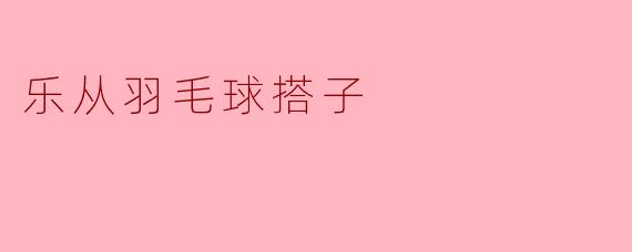 乐从羽毛球搭子