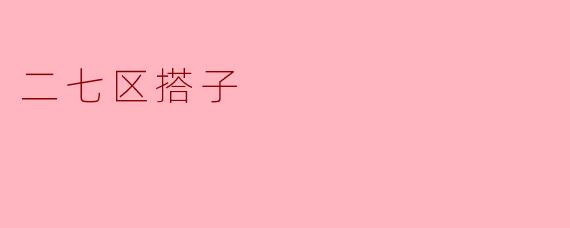二七区搭子