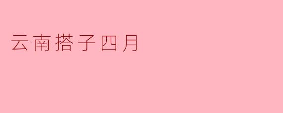 云南搭子四月