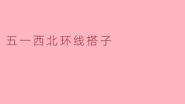 五一西北环线搭子