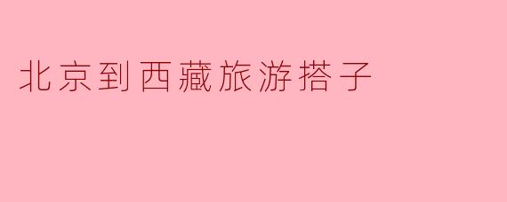 北京到西藏旅游搭子