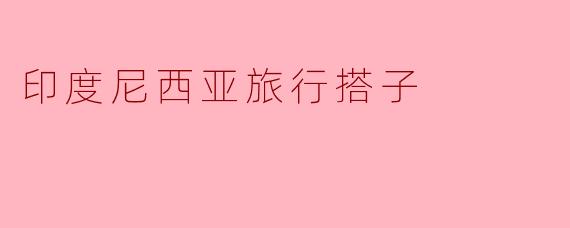 印度尼西亚旅行搭子