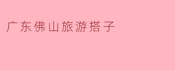 广东佛山旅游搭子