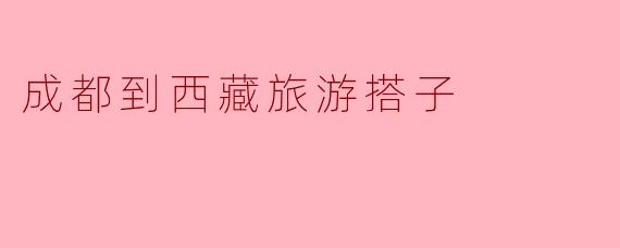 成都到西藏旅游搭子