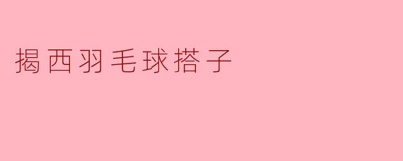 揭西羽毛球搭子