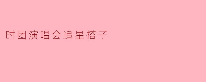 时团演唱会追星搭子