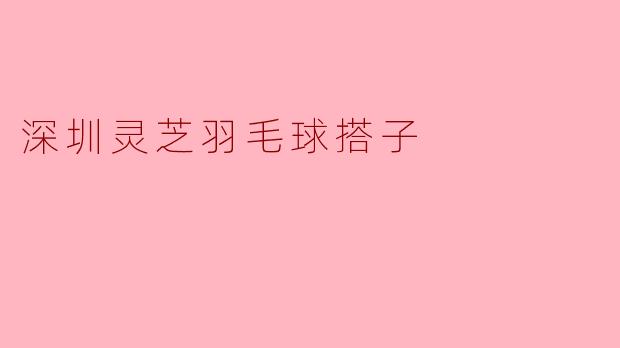 深圳灵芝羽毛球搭子