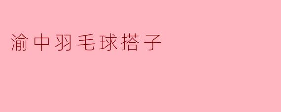 渝中羽毛球搭子