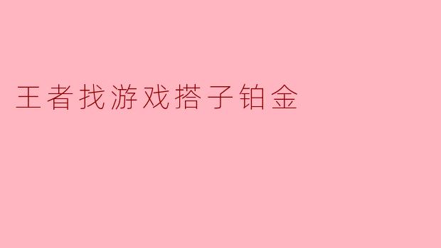 王者找游戏搭子铂金