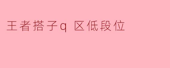 王者搭子q区低段位