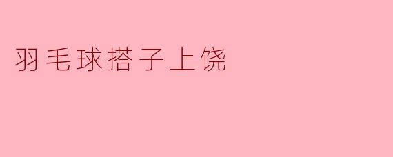 羽毛球搭子上饶
