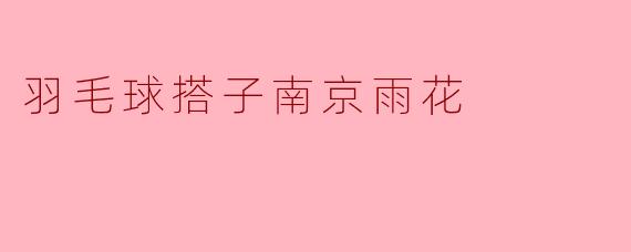 羽毛球搭子南京雨花