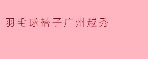 羽毛球搭子广州越秀