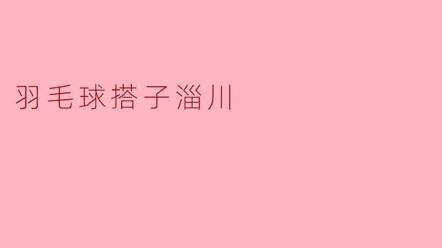 羽毛球搭子淄川