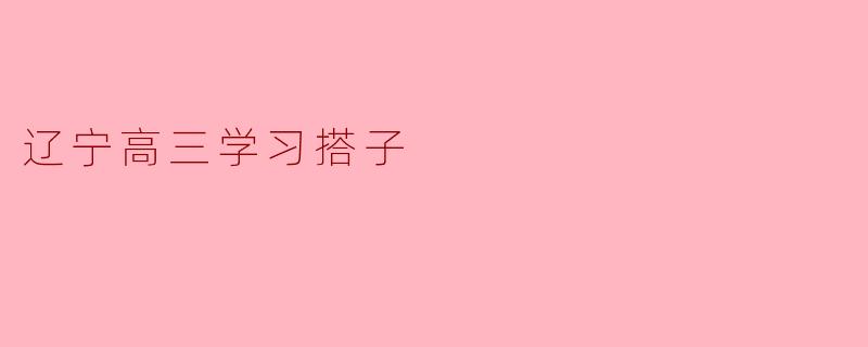 在辽宁高三找学习搭子,怎样才能提高复习效率?