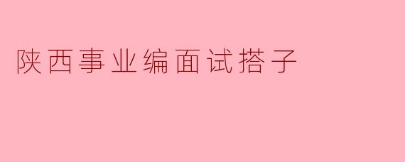 陕西事业编面试搭子