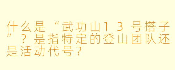 什么是“武功山13号搭子”?是指特定的登山团队还是活动代号?