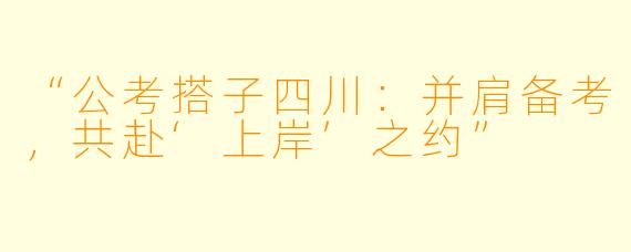 “公考搭子四川：并肩备考，共赴‘上岸’之约”