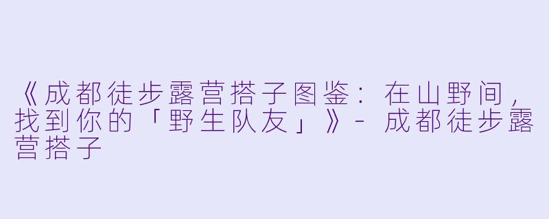 《成都徒步露营搭子图鉴：在山野间，找到你的「野生队友」》-成都徒步露营搭子